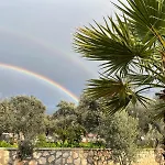 فيلة Olive Branch