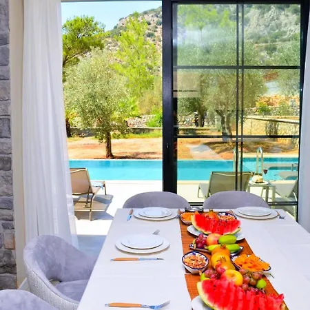 Olive Branch * Kaş
