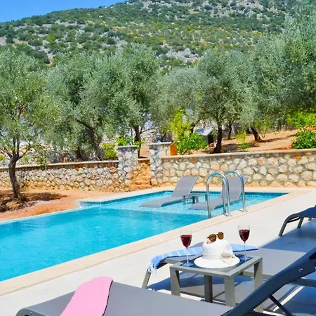 Villa Olive Branch